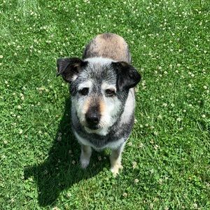 Meet your Posher, Erika